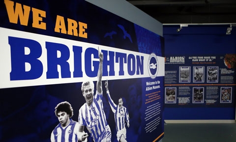 Display wall at The Albion Museum | The Albion Museum