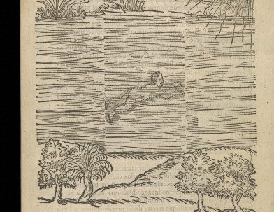 Everard Digby’s De Arte Natandi
