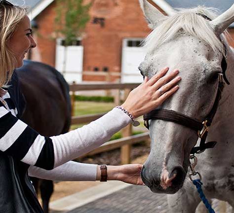 Woman stroking a grey horse's head | Image courtesy of the National Heritage Centre for Horseracing and Sporting Art