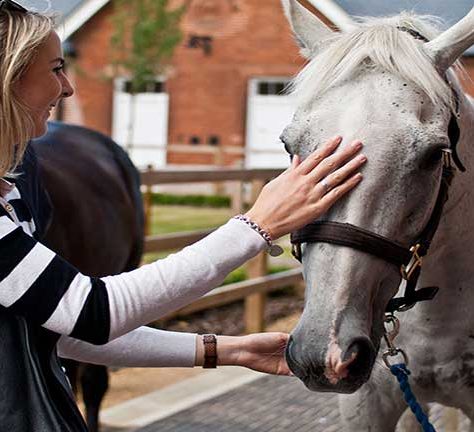Horses-in-Rothschild-Yard-1 Woman stroking a grey horse's head | Image courtesy of the National Heritage Centre for Horseracing and Sporting Art