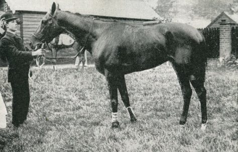 Palace House, King of the Downs: Part One