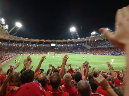 Wales fans at the Euro 2016 match versus Russia in Toulouse