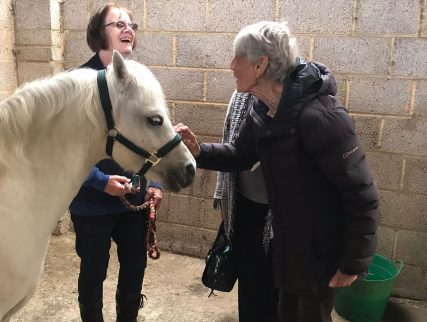 women strokes white pony in stable | Saxon Group RDA