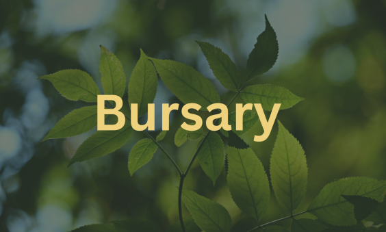 Bursary Scheme