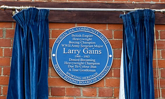 A Tribute to Larry Gains - Nubian Jak Community Trust